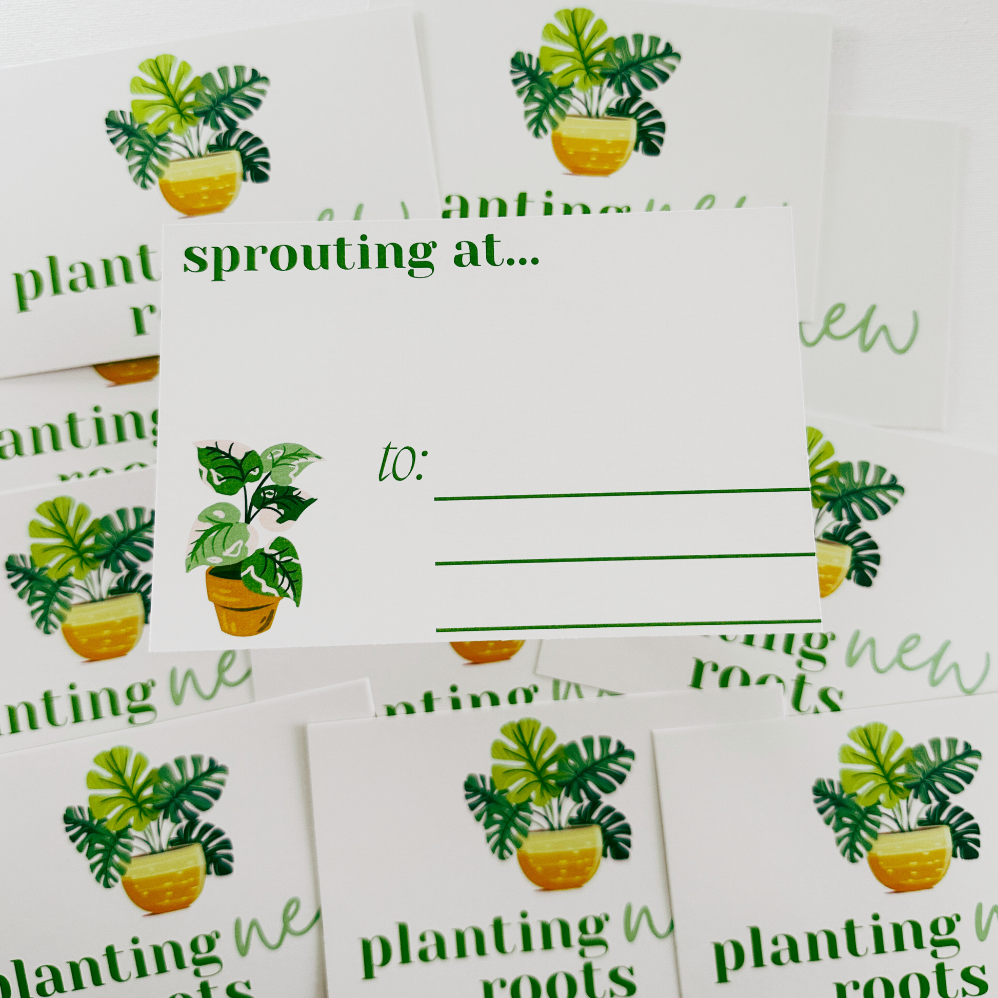 Houseplants Just Moved Postcards