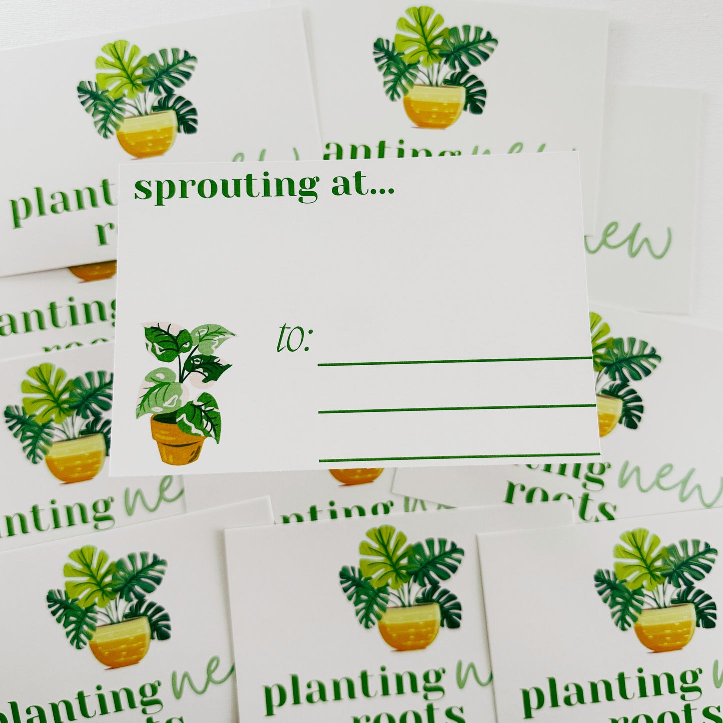 sprouting at just moved postcards