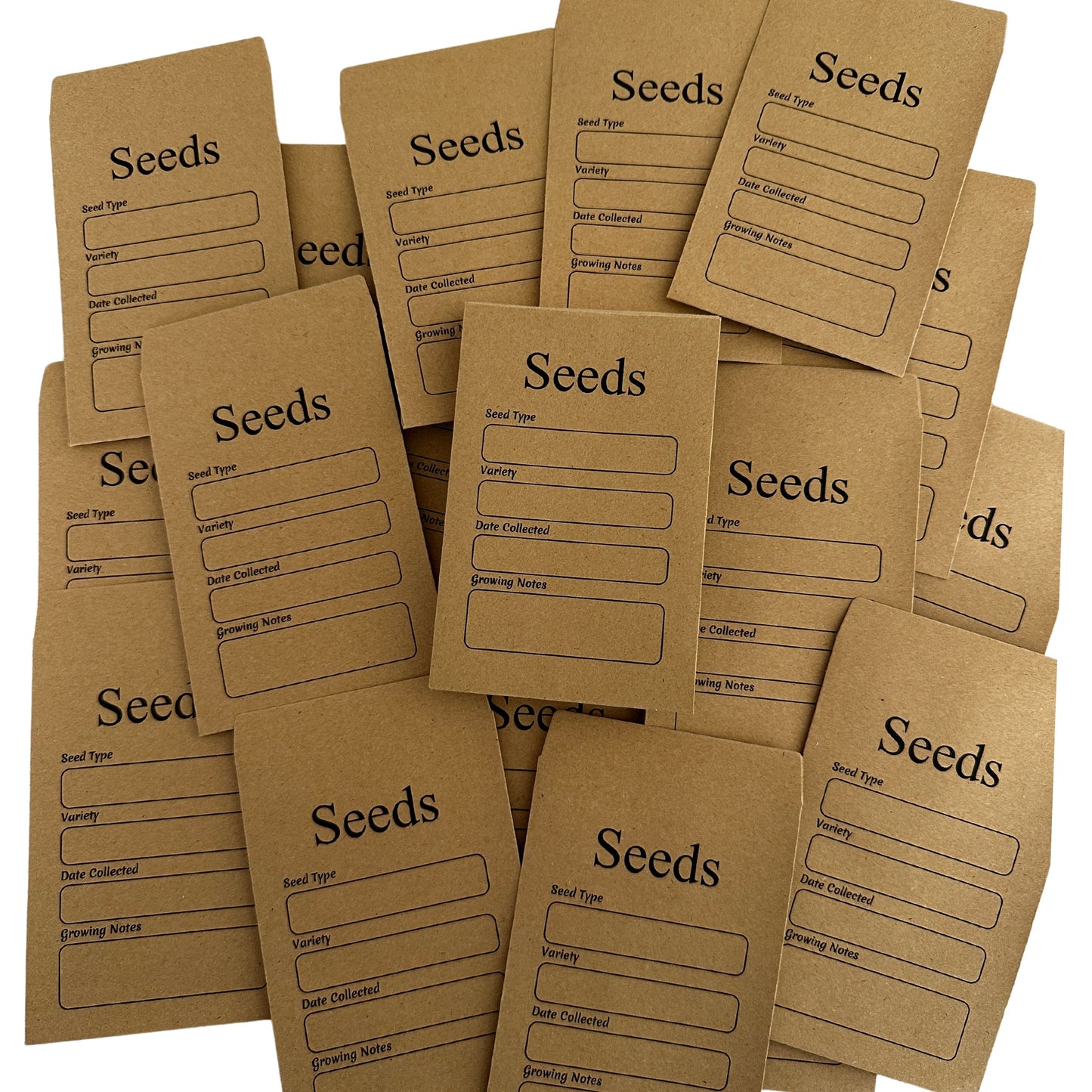 25 Personalized Seed Envelopes for Pop Bys