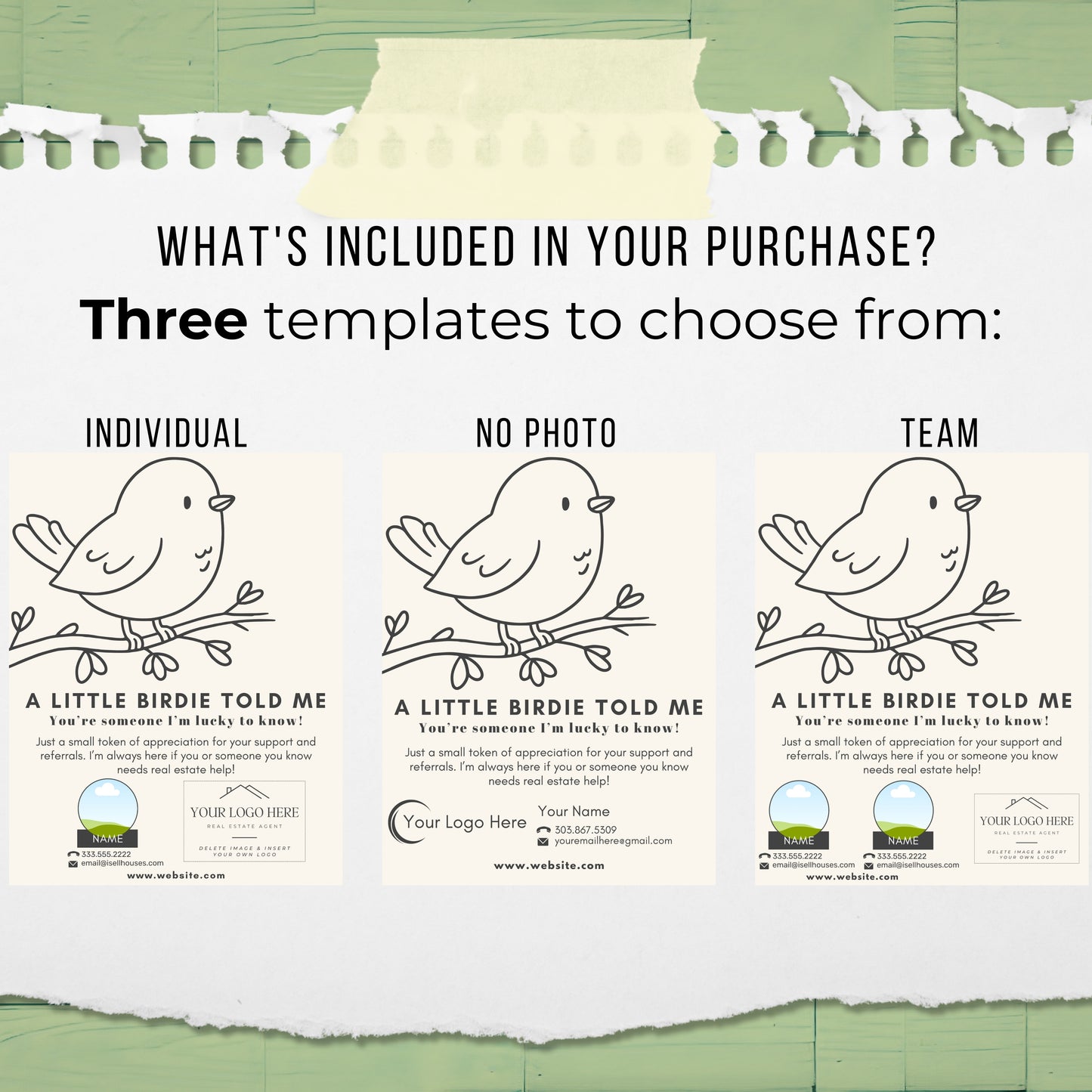 Three templates with birds on branches, labeled 'Individual', 'No Photo', and 'Team', on a background.
